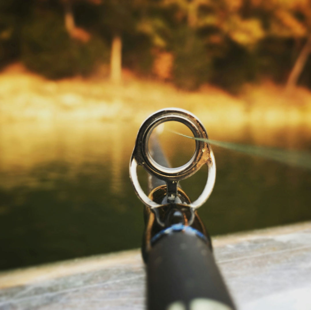 Fishing